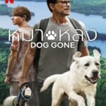 Dog Gone (2023) หมาหลง