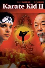 The Karate Kid Part 2 (1986) คาราเต้ คิด 2