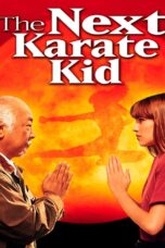 The Next Karate Kid (1994)